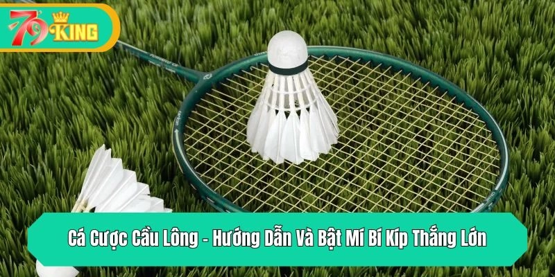 Cá Cược Cầu Lông – Hướng Dẫn Và Bật Mí Bí Kíp Thắng Lớn