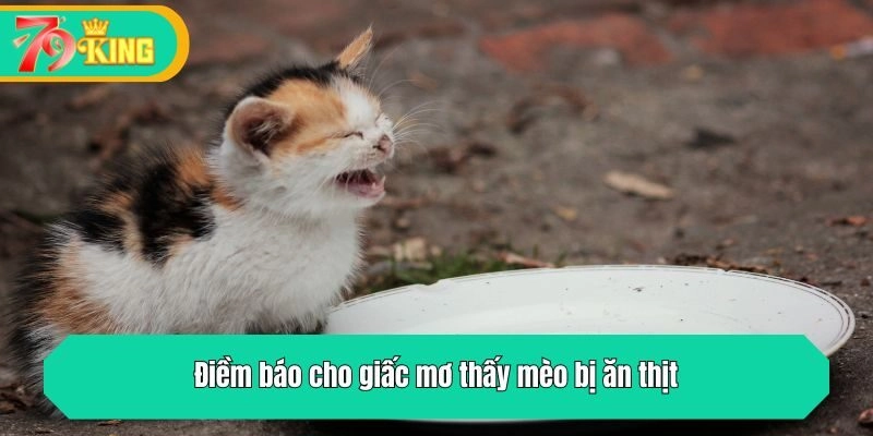 Điềm báo cho giấc mơ thấy mèo bị ăn thịt