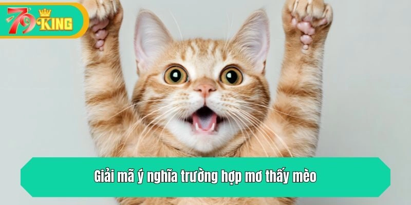Giải mã ý nghĩa trường hợp mơ thấy mèo