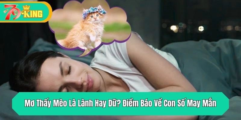 Mơ Thấy Mèo Là Lành Hay Dữ? Điềm Báo Về Con Số May Mắn
