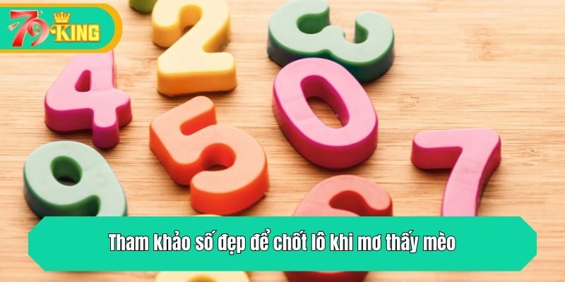 Tham khảo số đẹp để chốt lô khi mơ thấy mèo
